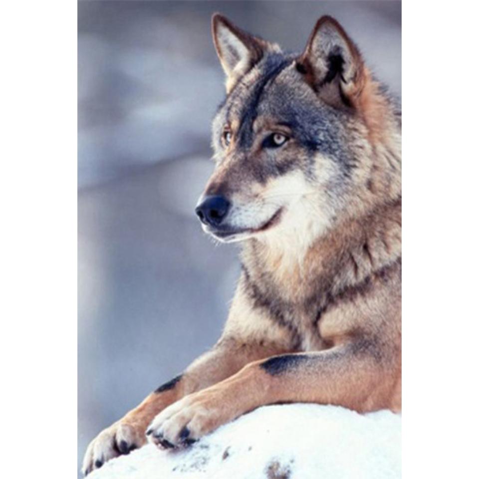 Pictură cu diamant DIY 5D cu strass Animal complet cu diamant brodat Lup Artă Imagine Mozaic Kit cusă de cruce Decorare cadou