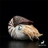 Nautilus Pluche Dier Realistisch Levend Fossiel Schelp Pluche Levensgetrouwe Schelp Knuffel Zeesslak Simulatie Pop Verzamelaars