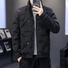 Men’s Lightweight Korean-Style Short Down Jacket - Trendy Winter Outerwear
