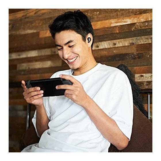 Radius radius HP-P100BT Low Latency Gaming Wireless Earphones: Noise Canceling ANC Ambient Sound Intake Bluetooth Fully Wireless Fully Wireless TWS