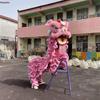 Premium Australian Wool Southern Lion Dance Costume Set