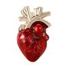 Human Body Organ Pin Heart Shaped Brooch Elegant Jackets Bag Backpack Badge Eye Catching Accessory for Trendsetters