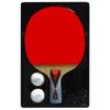 Double Fish 4-Star Table Tennis Racket