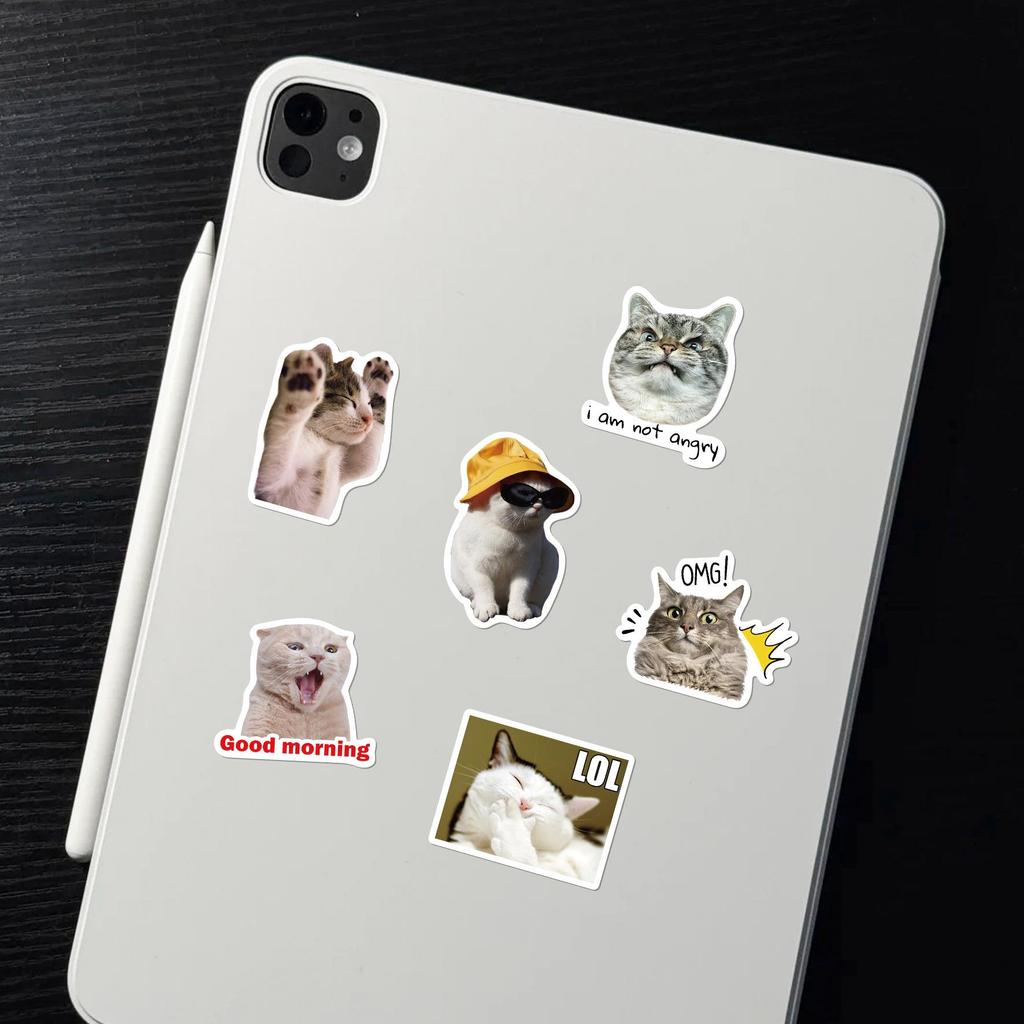 50-Pack Waterproof Internet Cat Meme Stickers for Notebook, Phone, Water Bottle