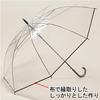Transparent vinyl POE jump jumbo large rain umbrella umbrella, 70cm, non-slip, umbrella, size, [LIEBEN-0641]