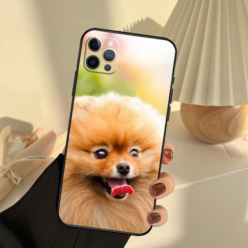 Pomeranian Dogs Dog Colorful Phone Case For iPhone 13 16 15 11 12 14 17 Pro Max 12 mini 15 16 Plus 16e 17 Air Cover Funda