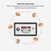 Intelligent Incubator Thermostat Automatic Egg Incubator Controller Thermostat For Eggs Duck Eggs Goose Eggs 12V