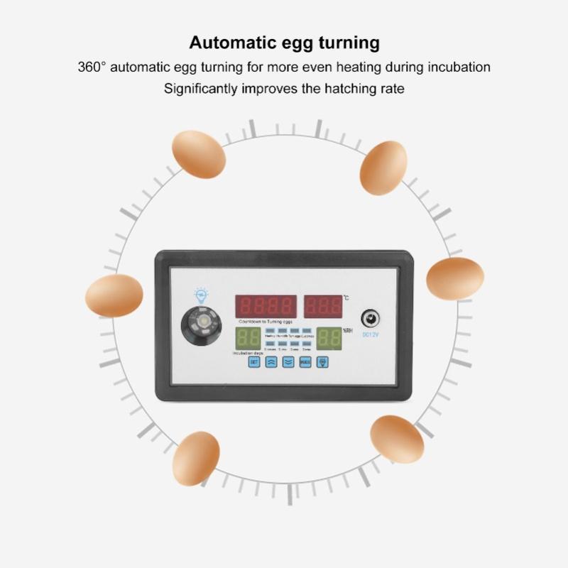 Intelligent Incubator Thermostat Automatic Egg Incubator Controller Thermostat For Eggs Duck Eggs Goose Eggs 12V