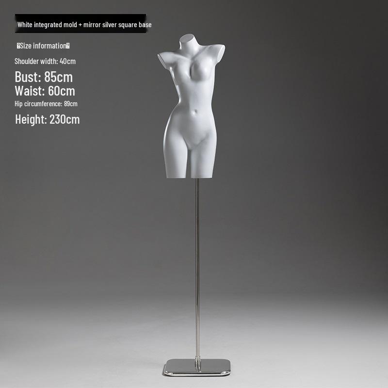 Female and Male Torso Mannequin Stand for Displaying Underwear and Bras