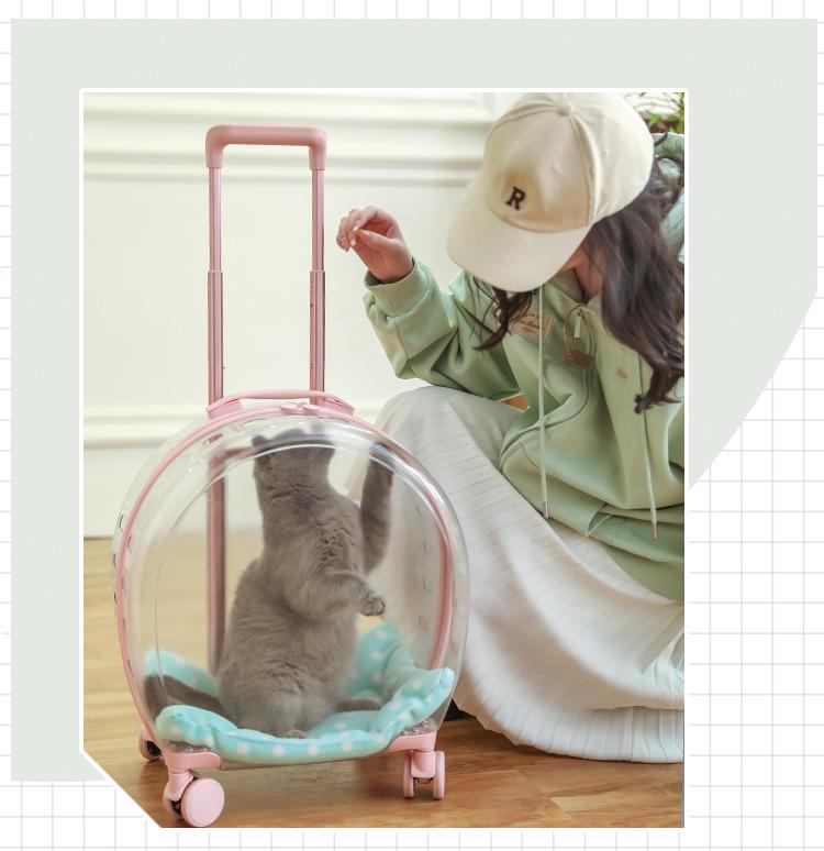 Portable Transparent Pet Carrier: Multi-Purpose Large Capacity Travel Bag for Cats