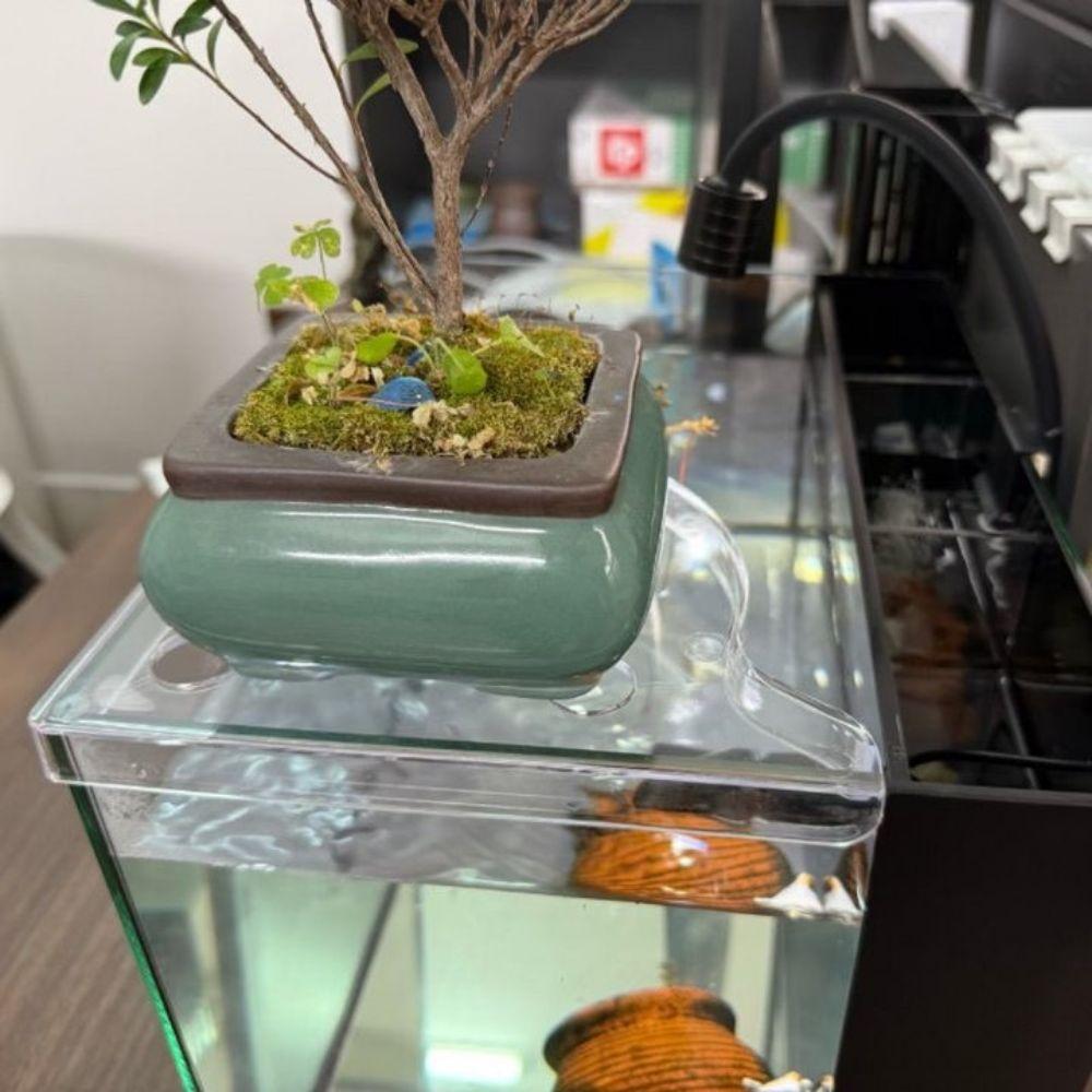Punch-free Fish Tank Corner Storage Rack Triangle Coral Bracket Corner Fish Tank Shelf  for Home