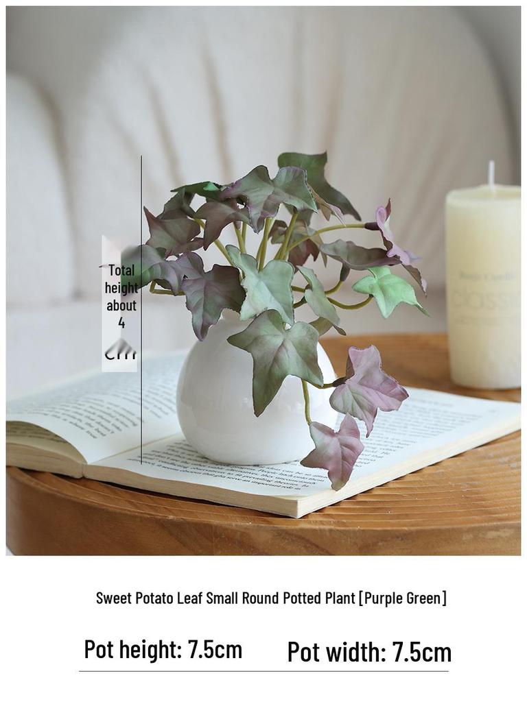 Miniature Succulent Bonsai Desk Ornament: Green Plant Props for Home or Office Decor