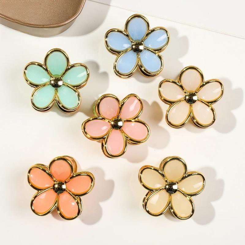 6Pcs Frangipani small hairpin female high-end sense of disc hair ponytail clip jelly color cute shark clip