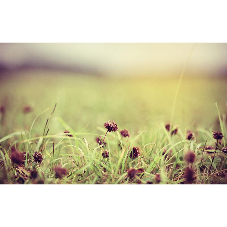 5D DIY Flowers Diamond Painting Rhinestone Landscape Picture Full Diamond Embroidery Mosaic Home Decor Gift Cross Stitch Kit