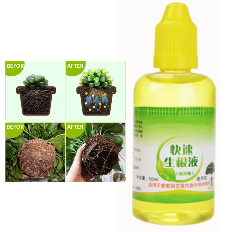 

Pdtoweb 50 мл Быстрое укоренение Жидкий агент Растение Выращивание Корневой прорастания Прорастание
