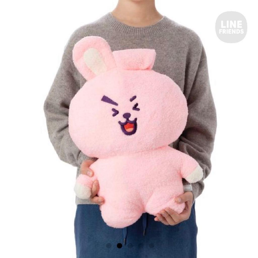 [USED] BTS BT21 COOKY Tatton Plush Toy, Large, Jungkook