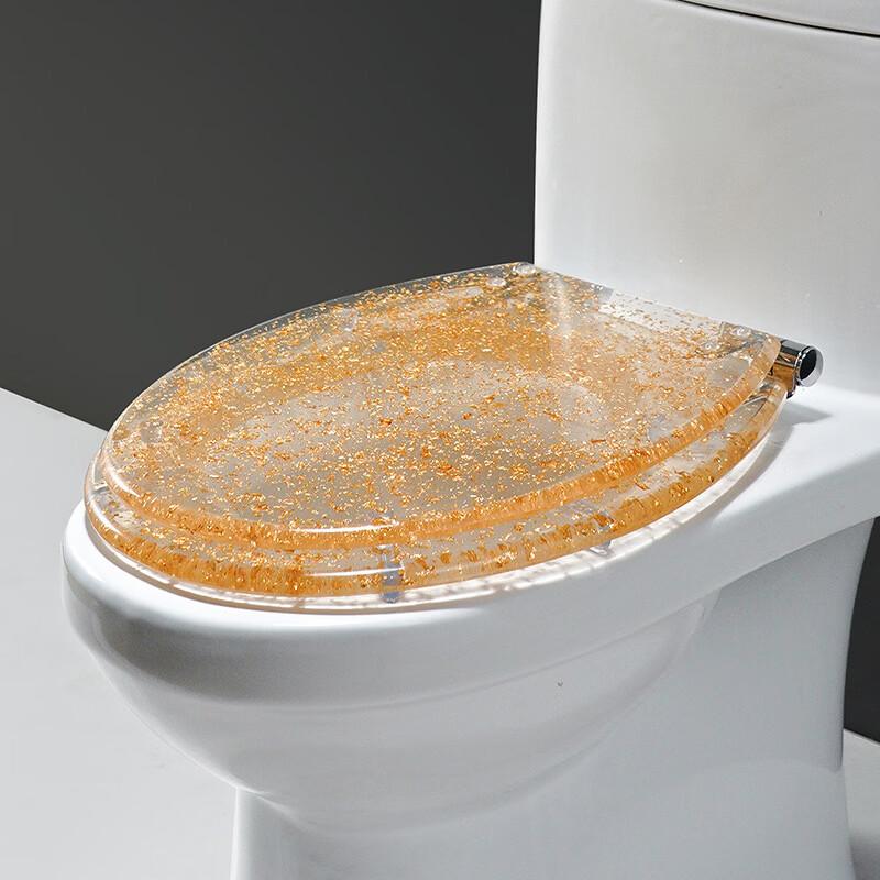 MDNG Gold Foil Resin Slow-Close Toilet Seat Cover