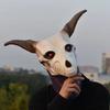 Anime Elias Ainsworth Goat Skull Mask The Ancient Magus Bride Full Head Latex Cosplay Headgear Halloween Party Prop