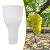 Grape Dipping Cup Lightweight Fruit Infuser Gardening Maintenance Tool for Vineyard Farm Home Grape Growth