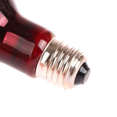 Pet Red Heating Lamp E27 Day Night For Amphibian Snake Lamp Heat Reptile Bulb Uv Light 25W 50W 75W 100W Ac220-240V