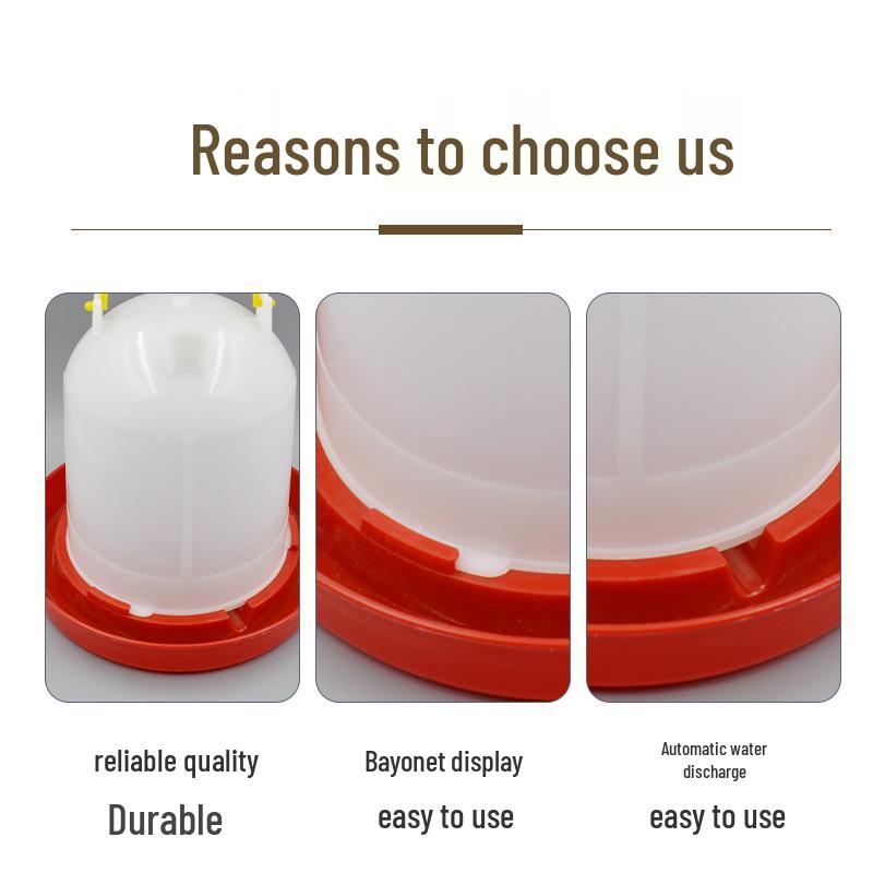 Automatic Chick & Quail Waterer and Feeder System