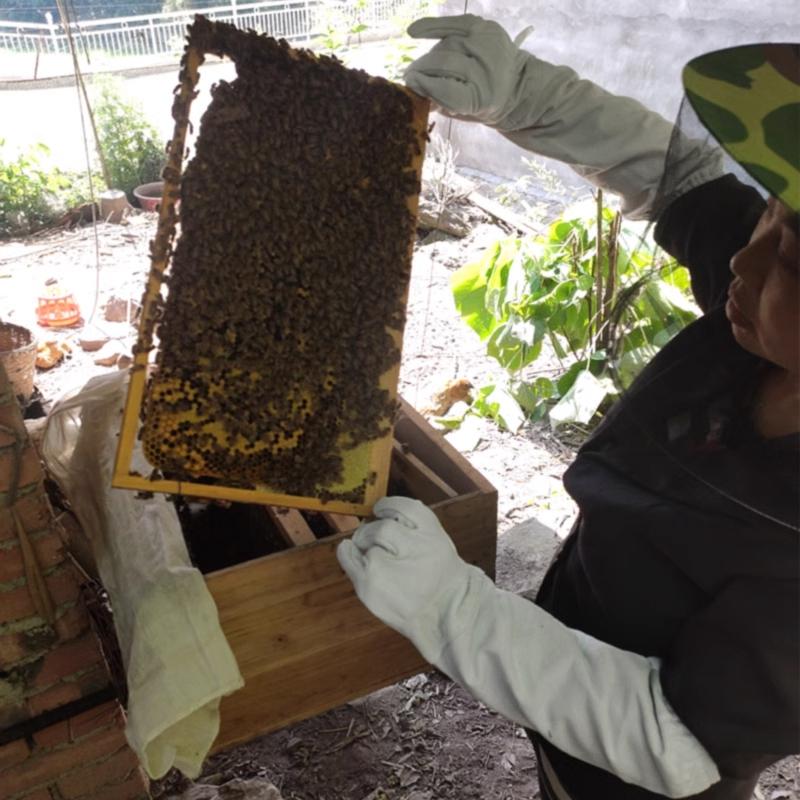 Včelařské rukavice proti včelímu štípnutí, plátěné rukavice s ochranným návlekem, prodyšné pro včelaře, včelařské nástroje, 1 pár