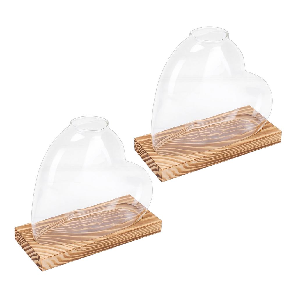 2PCS Propagation Vases Heart Shaped Glass Desktop Planter Plant Propagation Station for Small Hydroponic Plants Home
