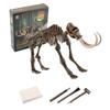 Dinosaur  And Excavation For Kids Science Kits For Boys Girls Age 6 And Up