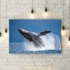Shark Jellyfish Humpback Whale Tail Sea Turtle  Poster Print Ocean Wildlife Canvas Painting Print for Living Room Home Decor