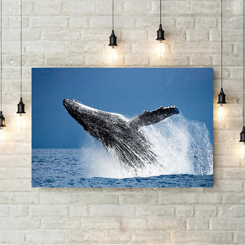 Shark Jellyfish Humpback Whale Tail Sea Turtle  Poster Print Ocean Wildlife Canvas Painting Print for Living Room Home Decor