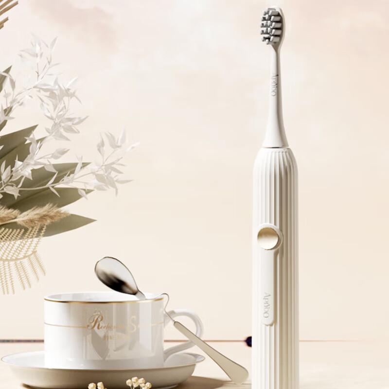 Aiyou T13-A Electric Sonic Toothbrush Set
