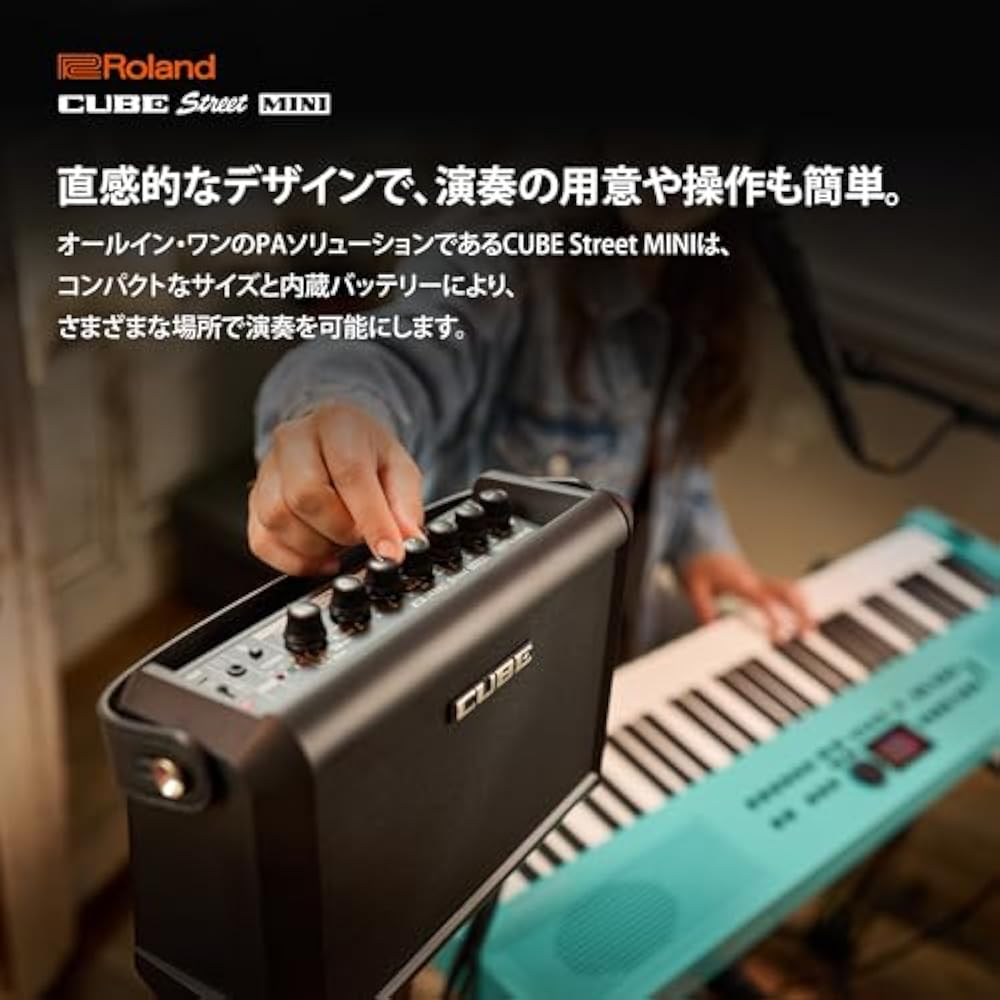 Roland Roland CUBE Street MINI/CUBE-ST-MI Portable Amplifier Mini Amplifier Guitar Keyboard Vocal...