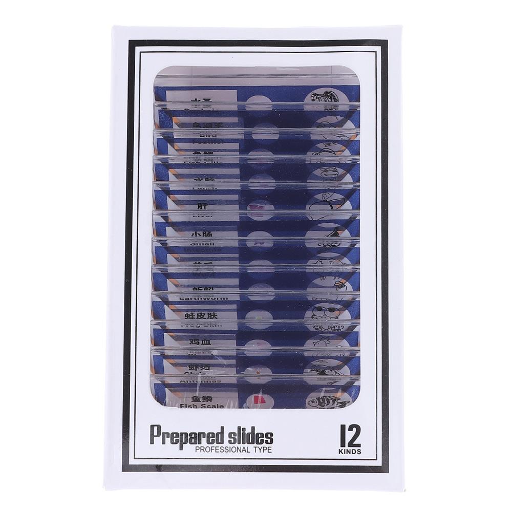 Plastic Microscope Slides Sample Specimens Animals Insects Plants Flowers Microscope Sample Prepared Slides Multicolor