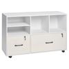 2 Drawer Wooden File Cabinet Mobile Filing Cabinet with Adjustable Shelves