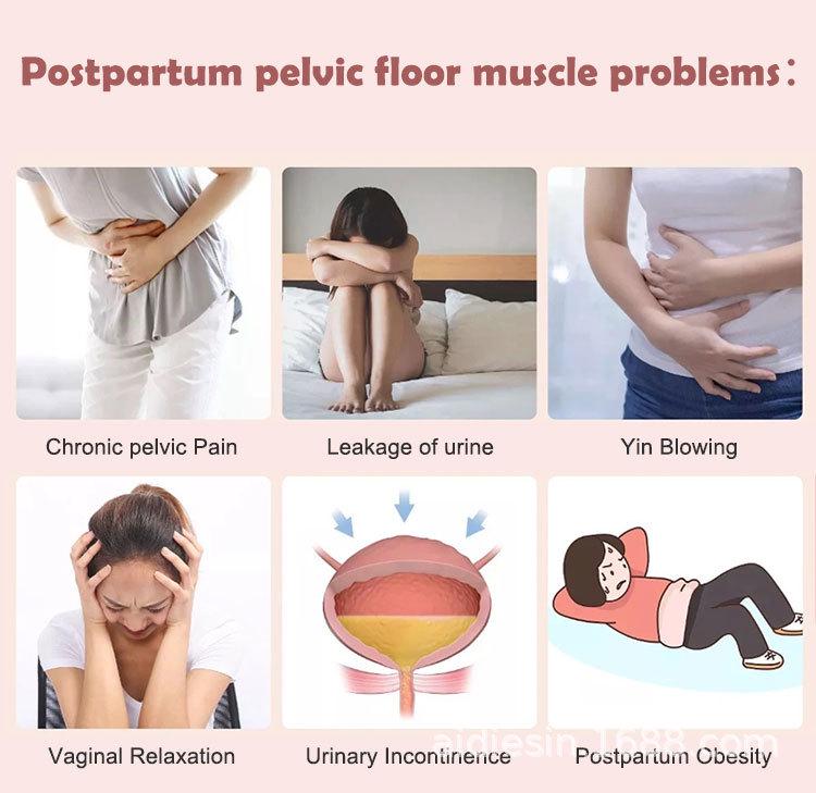 Postpartum Pelvic Floor Strengthening & Leakage Prevention Device