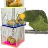 Parrot Foraging Toy: Acrylic Fruit Birdcage Accessory - Educational and Cute Bird Toy