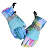 Waterproof Polyester Ski/Snowboard Gloves with Touchscreen Function Winter Thermal  Warm for Men & Women