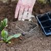 10Pcs Clear Plastic Plants Dome Protector for Garden Humidity Control