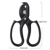 2-in-1 Floral Scissors | Stainless Steel Gardening Shears, Rose Thorn Remover, Flower Branch Pruning Shears for Florists & Flower Arranging - 1pc