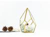 Geometric Glass Rhombus Greenhouse Ornament: European Wine Cabinet Micro Landscape & Preserved Flower Pot Craft