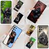 Telefon kapları – Smartphone Bumper Kılıflar