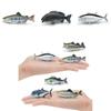 Marine Animal Static Model Toy With Realistic Fish Design For Collectors And Decor