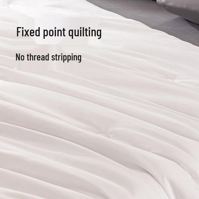 SILKUEEN All-Season Mulberry Silk Quilt