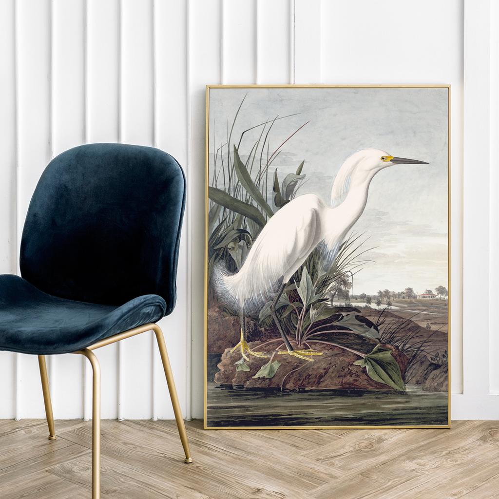 Poster White Bird Wetlands Swamp