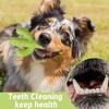 New Simulation Cactus Dog Chew Toysuitable for Aggressive Chewersdurable Rubber Cactus Tough Toy for Training and Cleaning Teeth, Interactive Dog Toy,