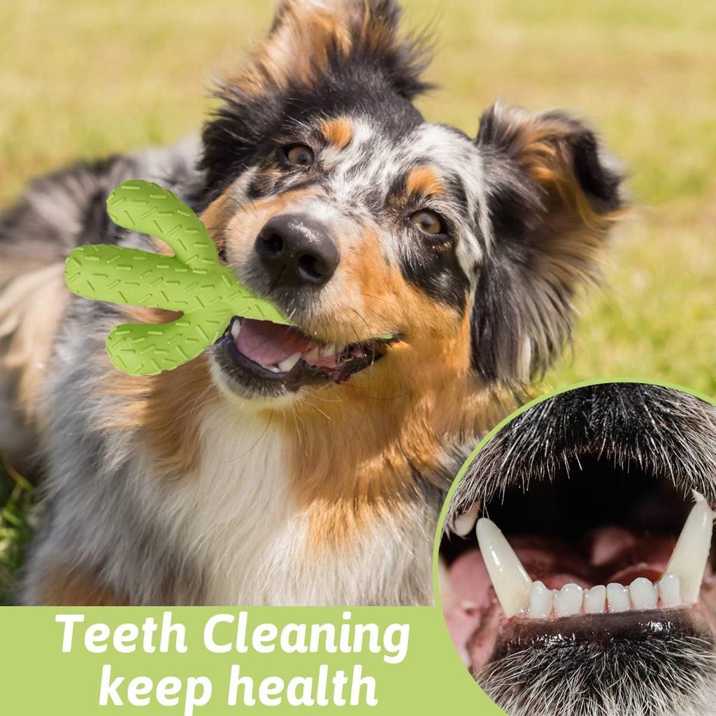 New Simulation Cactus Dog Chew Toysuitable for Aggressive Chewersdurable Rubber Cactus Tough Toy for Training and Cleaning Teeth, Interactive Dog Toy,