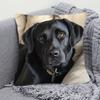 Cute Black Labrador Retriever Printed Pillowcase for Pet Lovers! Sofa cushion cover, home room dormitory decoration, 2D printing