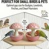 Resin Bird Feeder Bowl Anti Tip Parrot Food Container Practical Feeding Station  Balcony