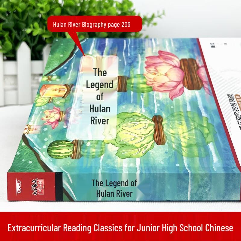 Classic Chinese Literature Books for Students