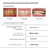 Yang Jingling Premium German Bristle Toothbrush